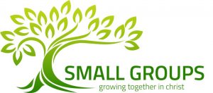 Small-Group-Logo-1024x452-300x132